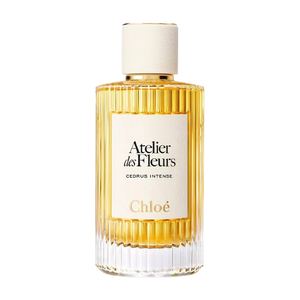 Cedrus Intense Chloé - קלואה אטלייר דס פלורס סדרוס אינטנס